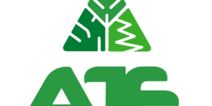Logo-AJE---sin-lema-(oficial)