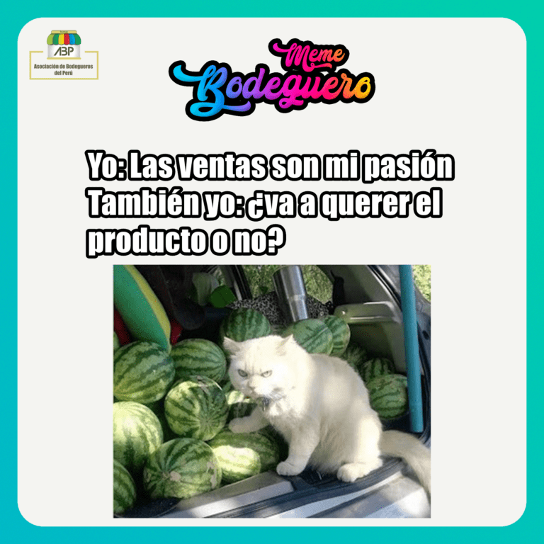 POST006_MEME BODEGUERO 07